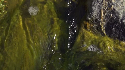 Creek flowing through the rocks Stock Footage 85817420