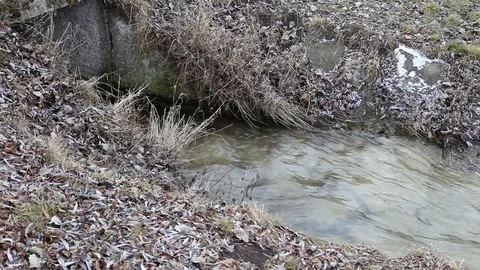The Creek flows into the lake in the fall Stock Footage 122469749