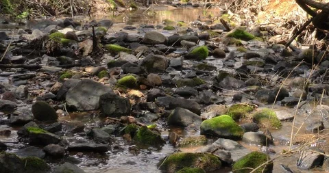 Creek flows over foreground rocks focused water sounds Stock Footage 87763809