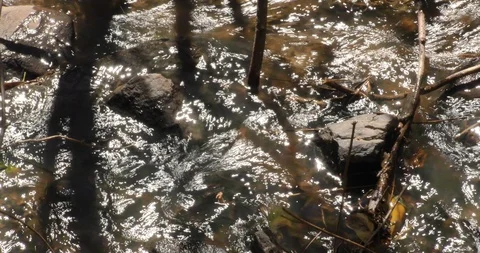 Creek flows over rocks, abstract light reflection water sounds Stock Footage 87763674