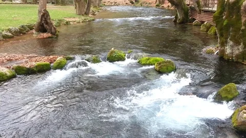 Creek flows over the rocks with nice greenery around it Stock Footage 99116919