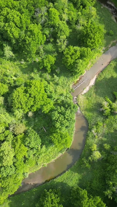 A creek flows throught it Stock Footage 300878117