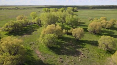 Creek Fly Over Video stock 155255211