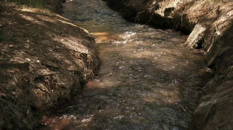 Creek Stock Footage 583448