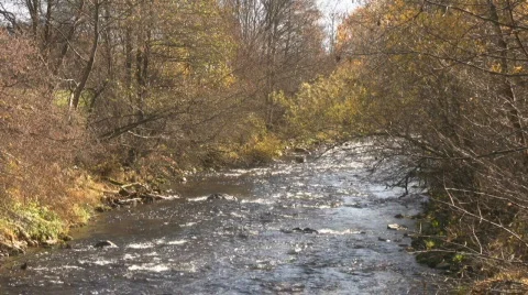 Creek  Stock Footage 594873