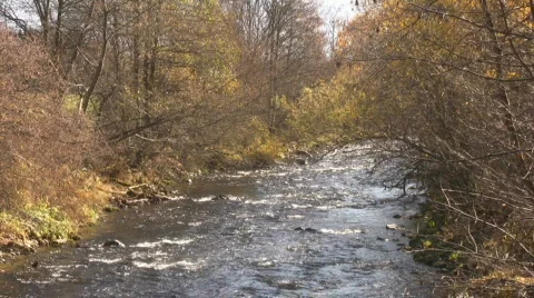 Creek  Stock Footage 594897