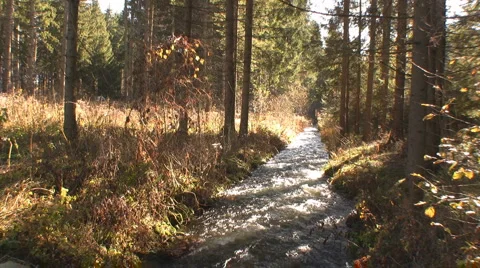 Creek Stock Footage 4506022