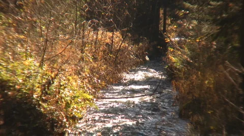 Creek Stock Footage 4507263