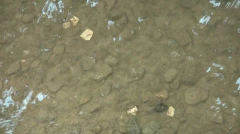 Creek Stock Footage 7764083