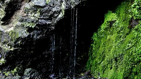 Creek Stock Footage 8551261