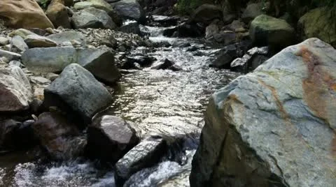 Creek Stock Footage 10838999