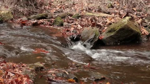 Creek Stock Footage 11240740