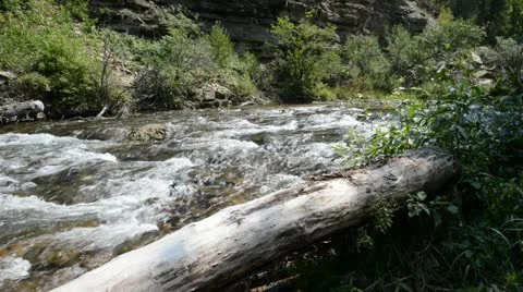 Creek Stock Footage 20592447