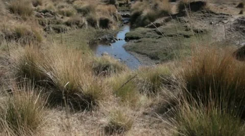 Creek 库存影片 22335283