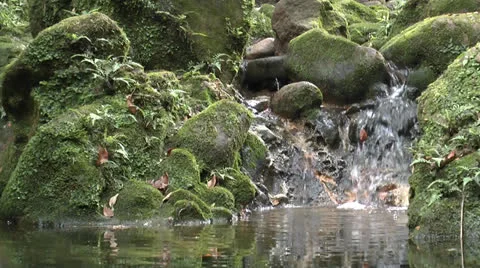 Creek Stock-Footage 23578055