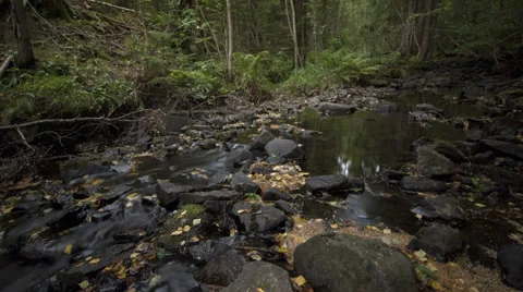 Creek Stock Footage 28811848