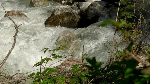 Creek Video stock 79904888