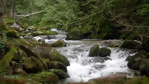Creek Video stock 79905113