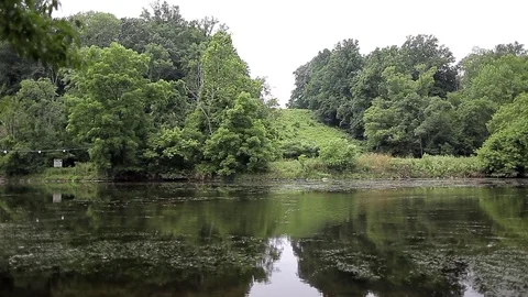 Creek Video stock 82953881