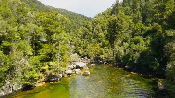 Creek Stock Footage 85489979