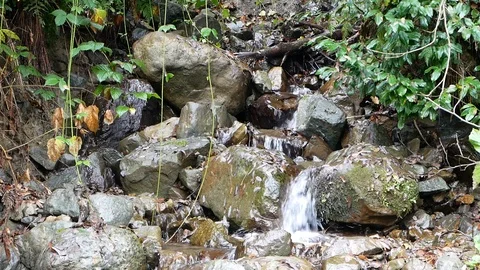 Creek Vídeos de archivo 97272122