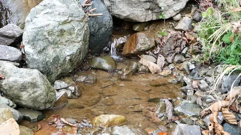 Creek Vídeos de archivo 97272440