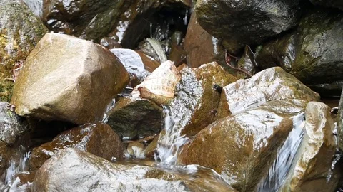 Creek Stock-Footage 97272506