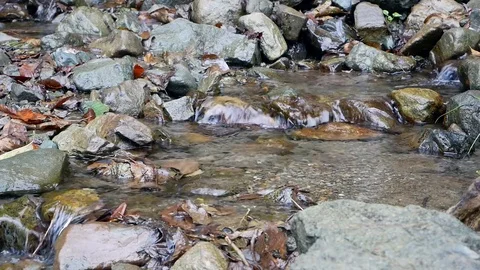 Creek Stock-Footage 97272533