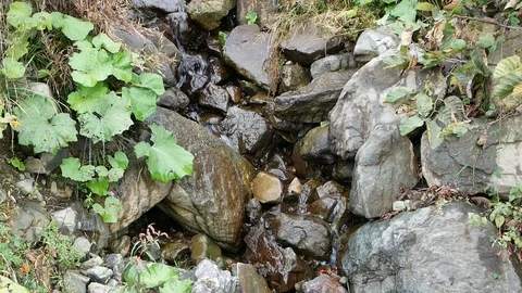 Creek Vídeo Stock 97272699