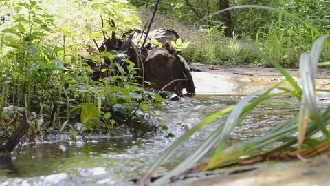 The creek Stock Footage 99118132