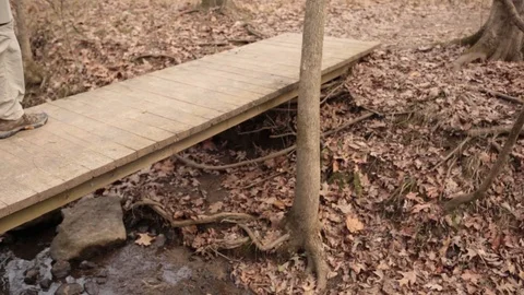 Creek Video stock 104975239