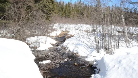 Creek Stock Footage 105384229