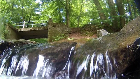 Creek Stock Footage 108390938