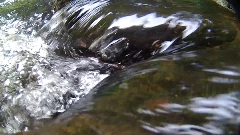 Creek Video stock 108390953