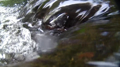 Creek Stock Footage 108391002