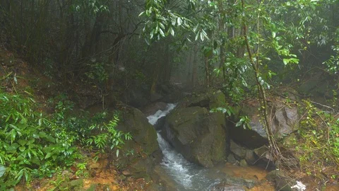 Creek Stock Footage 117167547