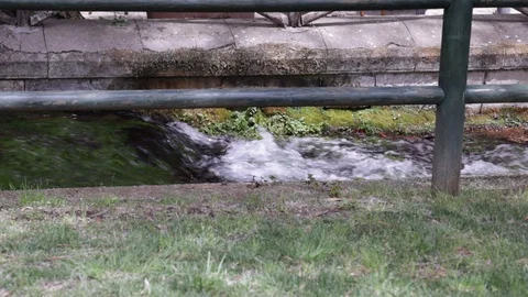 Creek Stock Footage 128451249