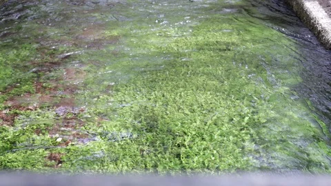 Creek Video stock 128451281