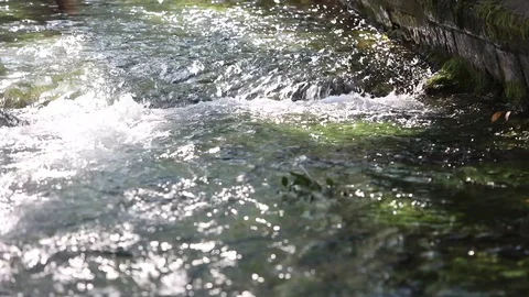 Creek Stock Footage 128451685