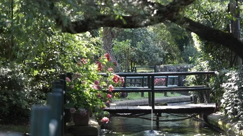 Creek Stock Footage 128451702