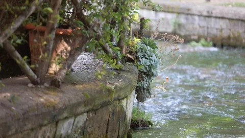 Creek Stock Footage 128451771