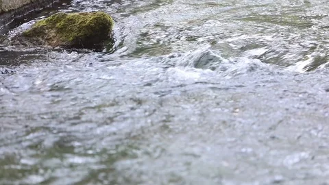 Creek Stock Footage 128451778