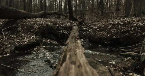 Creek Stock Footage 141945596