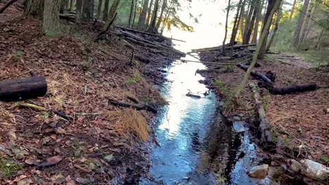 Creek Stock Footage 142746829