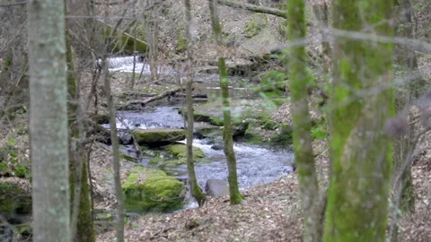 Creek Stock Footage 149089302