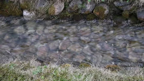 Creek Stock Footage 154532201
