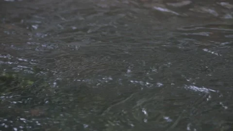 Creek Stock Footage 155112502