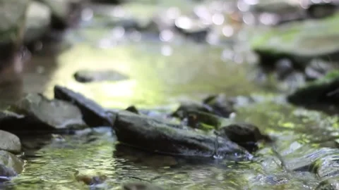 Creek Stock Footage 159885678