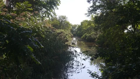 Creek Stock Footage 160714139