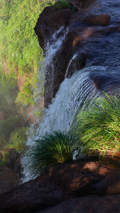 Creek Stock Footage 267339156